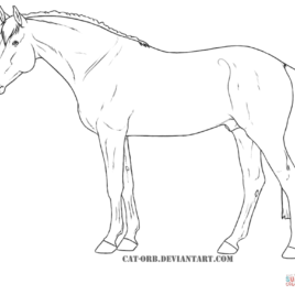 268x268 Horse Outline Coloring Page Archives