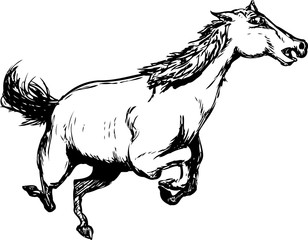 308x240 Jumping Horse Outline Photos, Royalty Free Images, Graphics