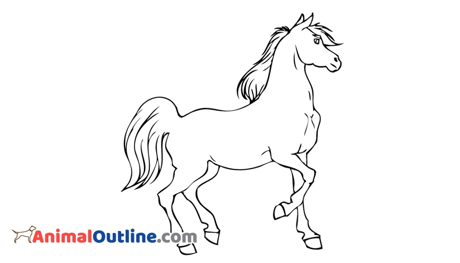 934x534 Outline Horse @
