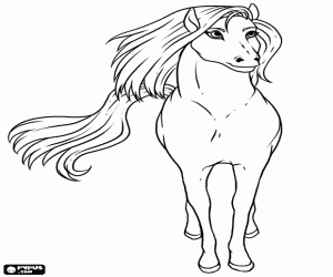 300x250 Horses Coloring Pages Printable Games