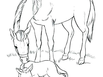 440x330 Breyer Coloring Pages