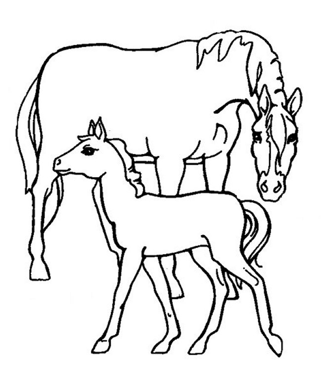 650x766 Coloring Pages 15