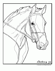 232x300 Picture Coloring Book Pony Coloring Pagesuper Coloring