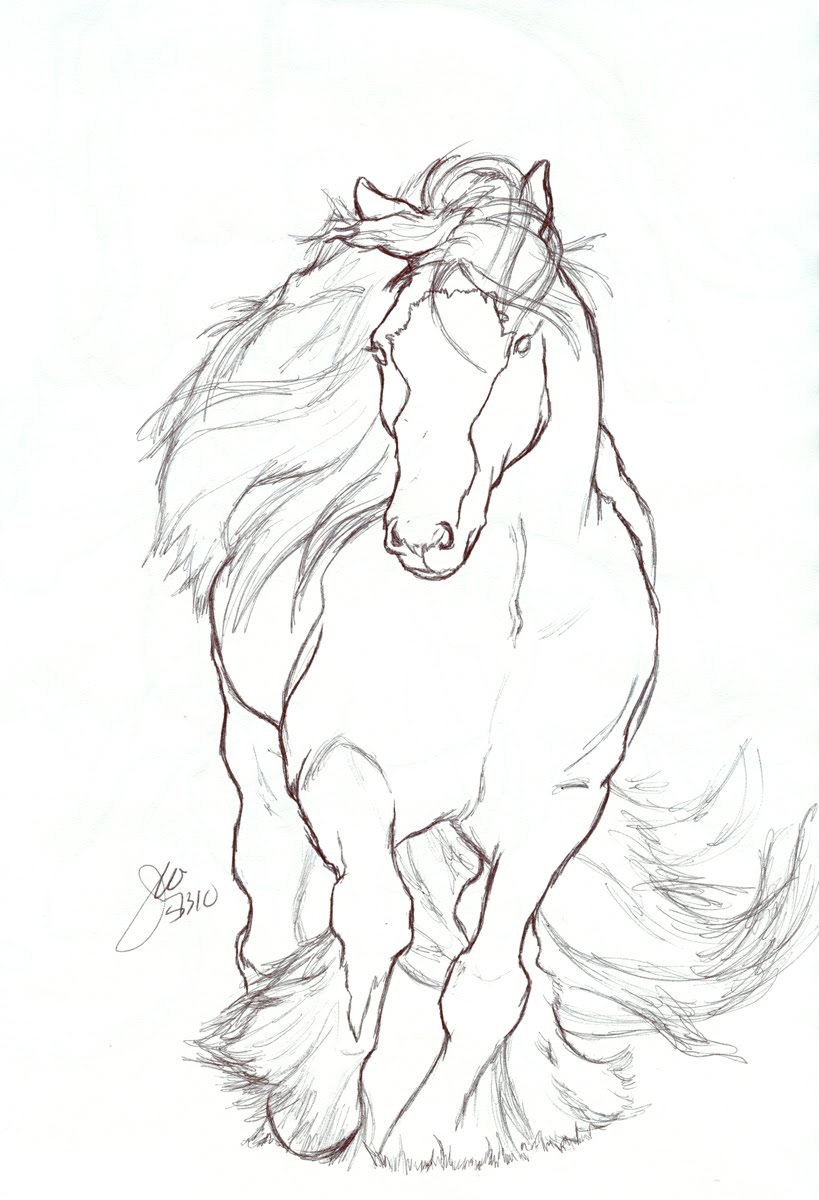 819x1200 Horse Drawing ~ 3d Drawing