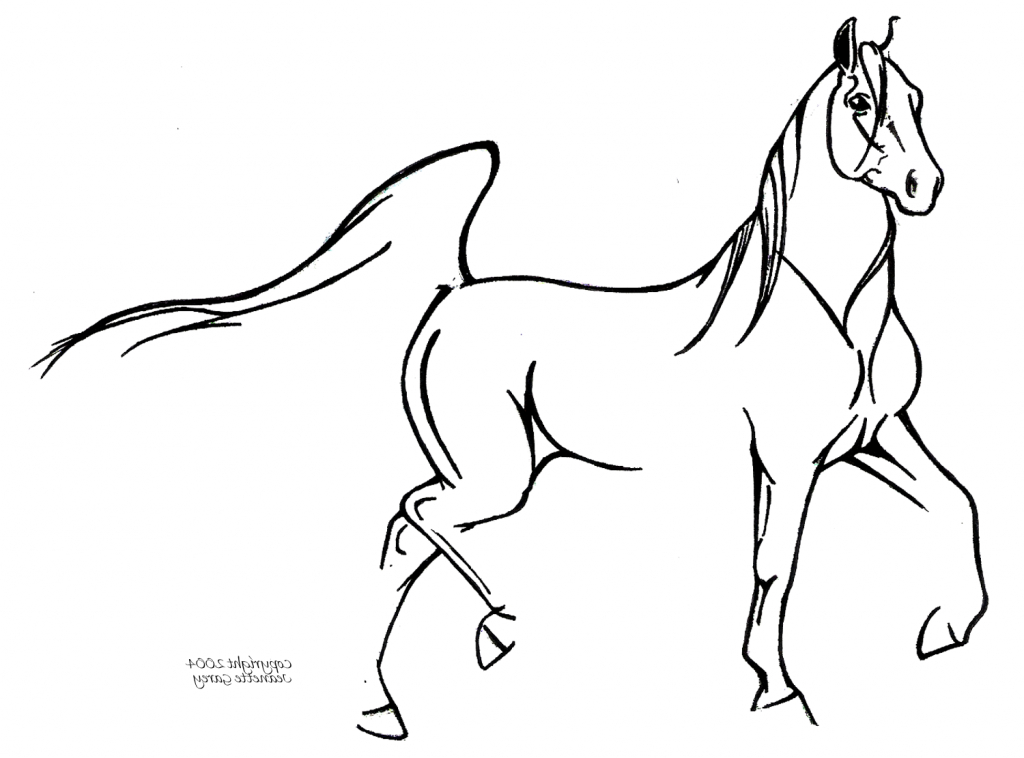 1024x758 Simple Drawing Of Horse Horse Drawing In Pencil Pencil Sketch