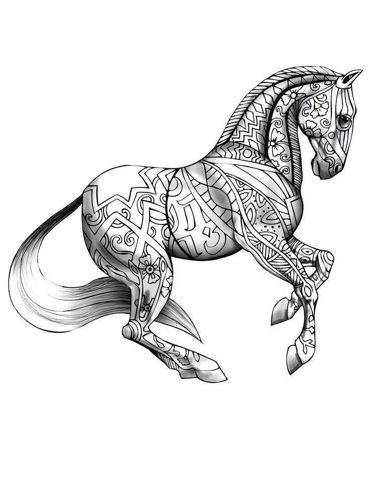 736x952 Horse Coloring Pages Drawing Unique Horse Coloring Pages Ideas