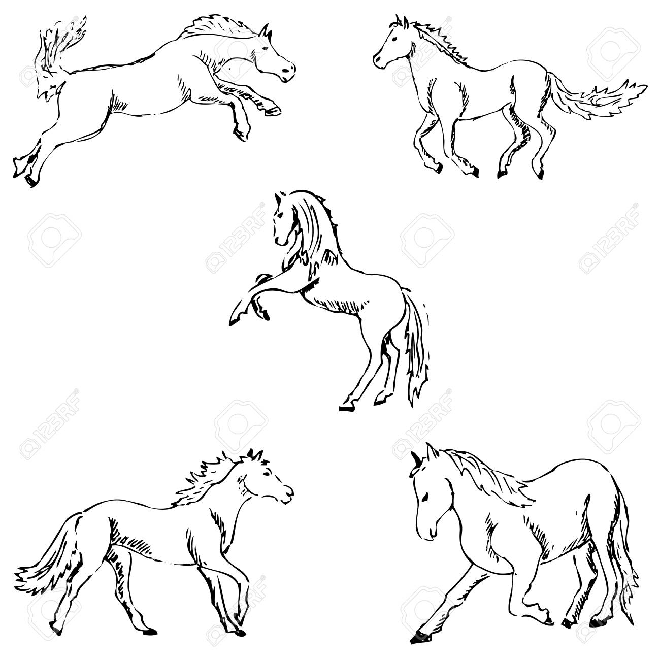 1300x1300 Horses. A Sketch By Hand. Pencil Drawing. Vector Image Royalty