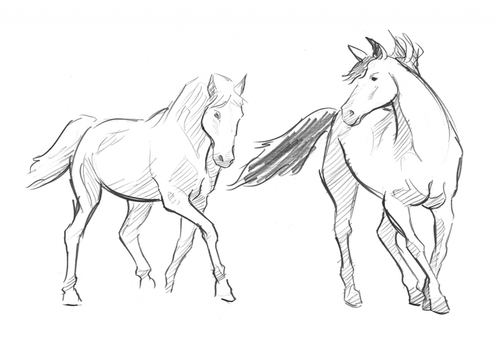 1024x726 Simple Horse Drawing