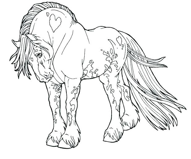 618x513 Horse Coloring Page Unique Horse Coloring Pages Ideas On Horse