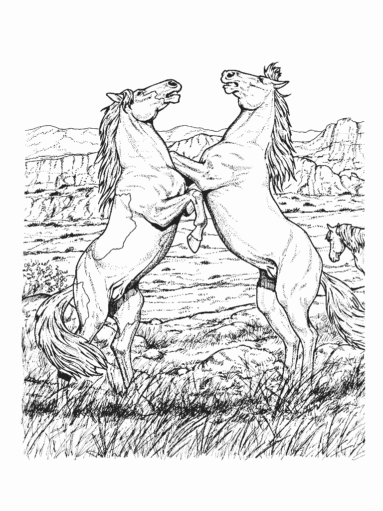 768x1024 Horse Coloring Pages Kids Horse, Adult Coloring