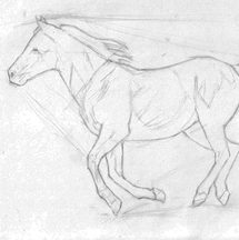 215x216 How To Sketch A Realistic Running Horse Sketching Techniques