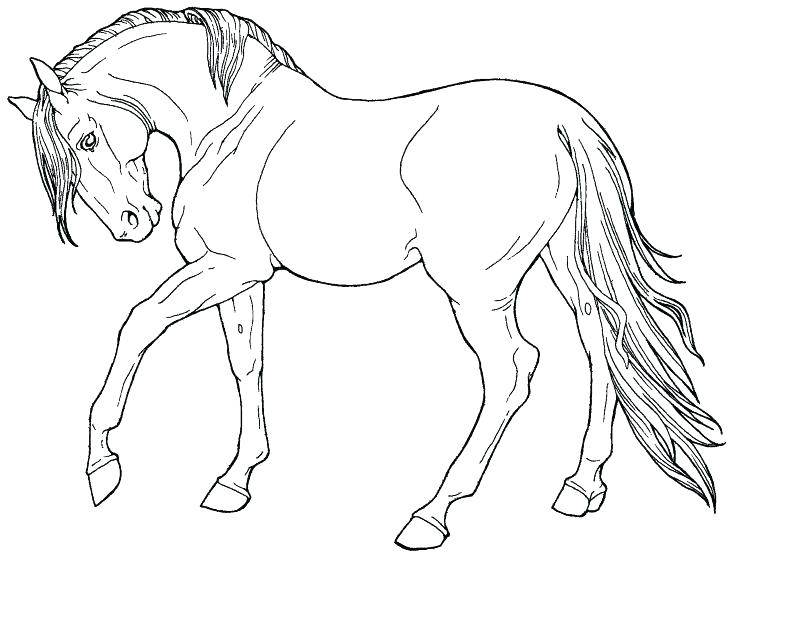 805x622 Realistic Horse Coloring Pages Free Printable Race Horse Coloring