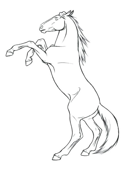 518x682 Running Horse Coloring Pages Horse Coloring Pages Free Printable