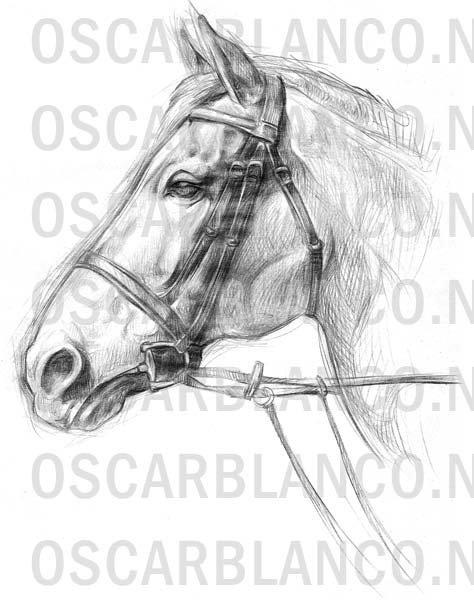 474x600 Sketch Toon. Traditional, Digital And 3d Illustration.