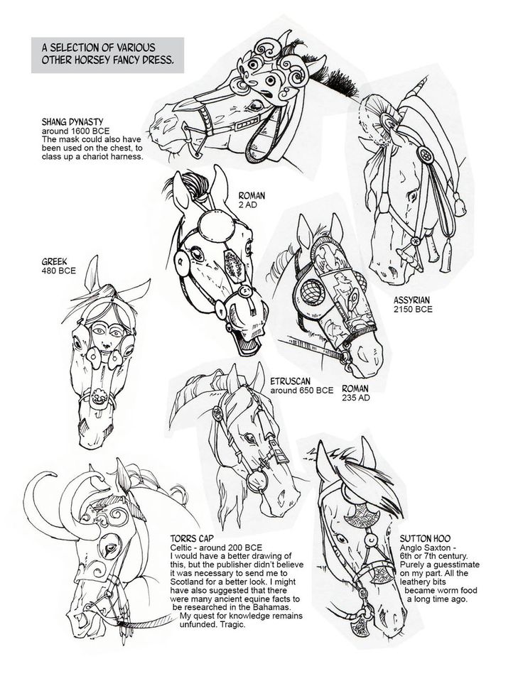 736x952 Historic Horse Head Gear Part 2 By Sketcherjak