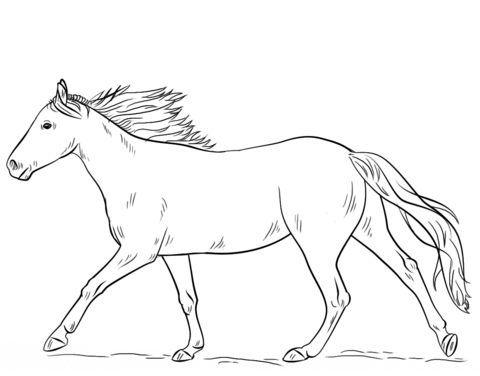 480x376 Running Horse Coloring Page Free Printable Coloring Pages