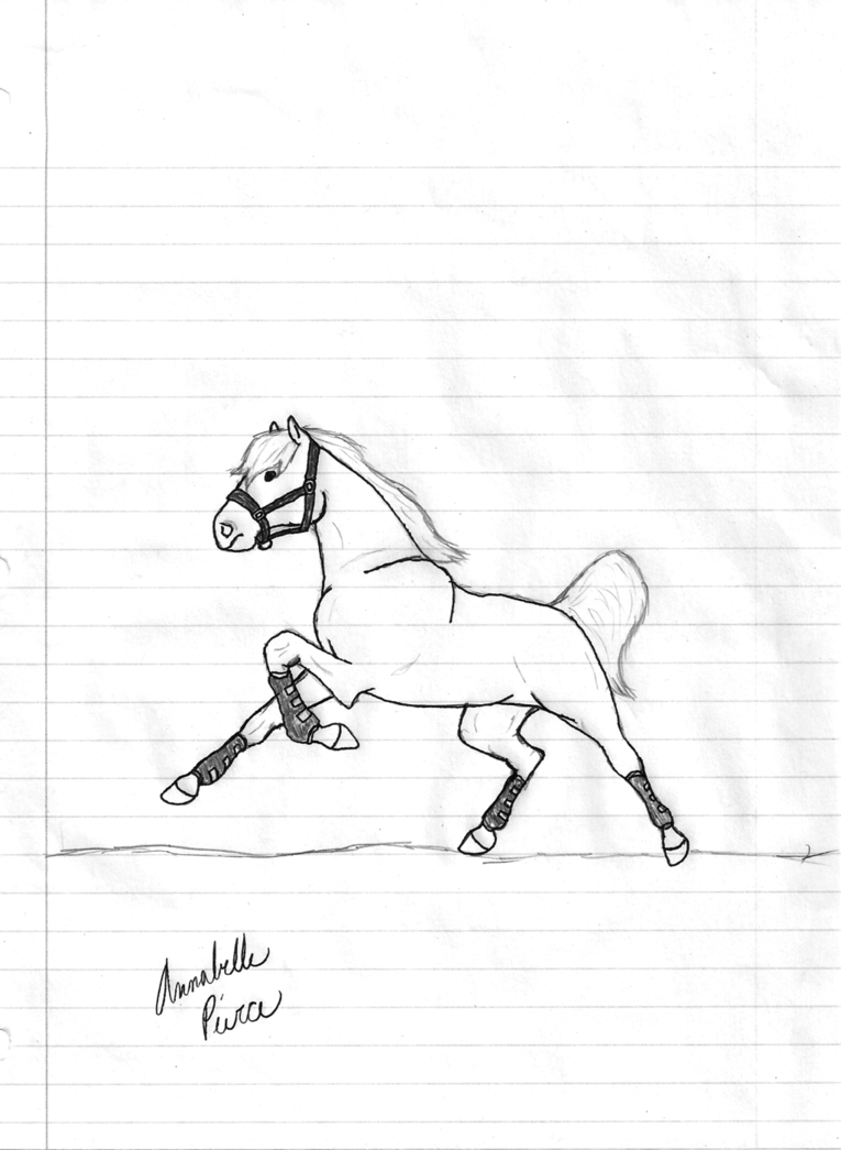 765x1045 Running Horse Drawing By Bellep53
