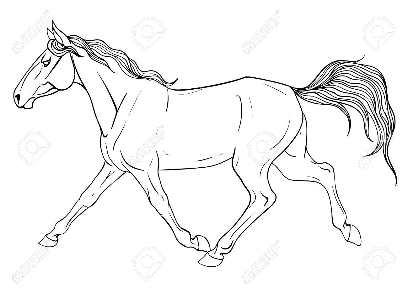 1300x919 Coloring Page With A Running Horse Royalty Free Cliparts, Vectors