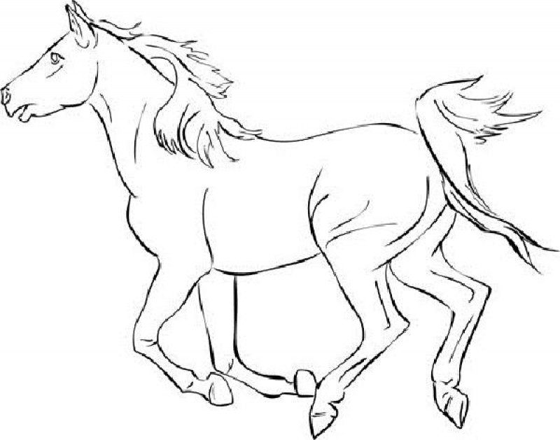 800x629 Coloring Pages Luxury Mustang Horse Coloring Pages Running Page