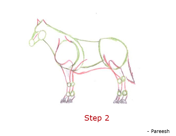 698x540 Fishing Chat How To Draw A Horse Step By Step