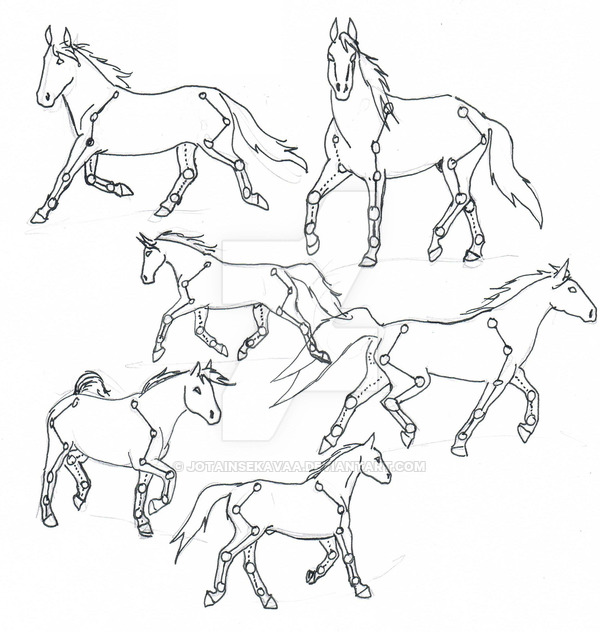 600x632 Horse Tutorial Full Body By Jotainsekavaa