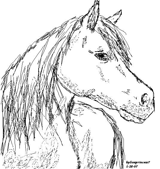 535x563 How To Draw A Horse