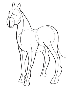 277x346 How To Draw Horses