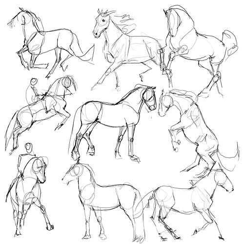 500x500 Horse Drawing Tutorial