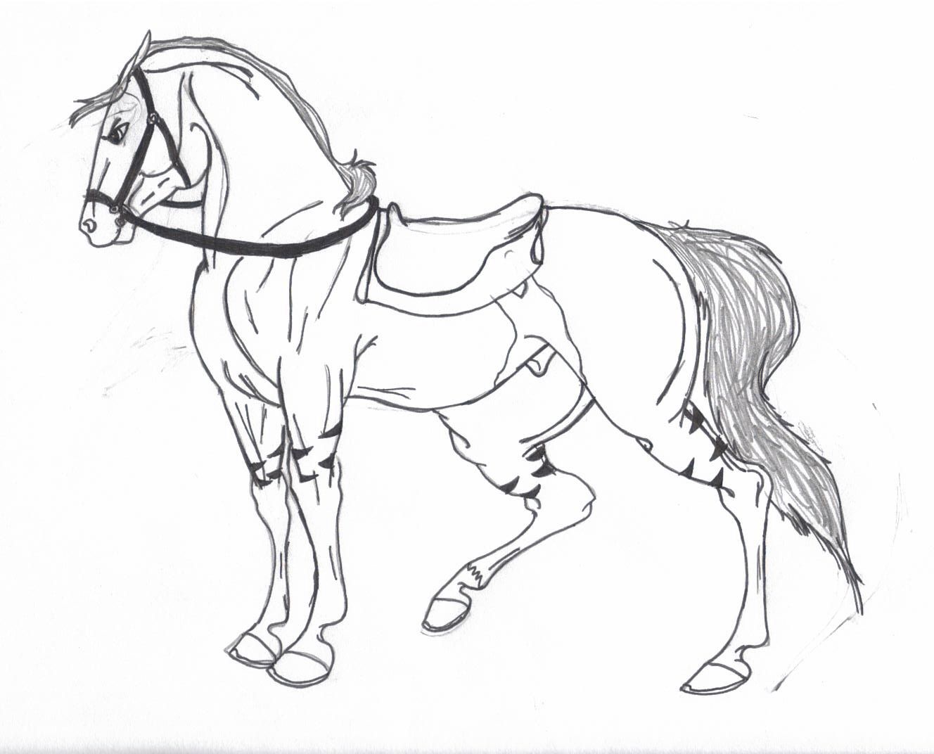 1328x1072 Anime Horse Draw