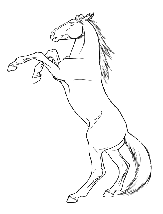 561x739 Drawn Horse Rearing