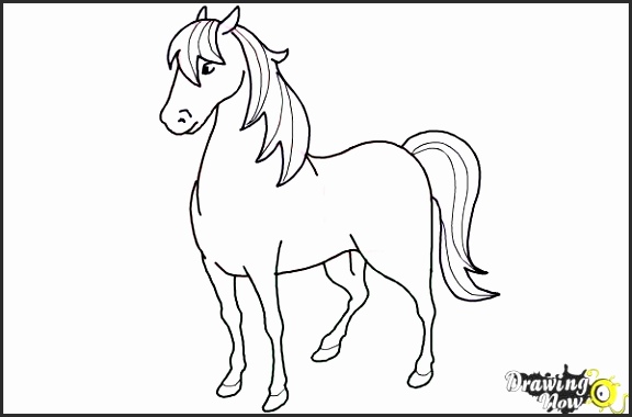 576x380 Easy Drawing Of A Horse Basdt Best Of How To Draw A Simple Horse