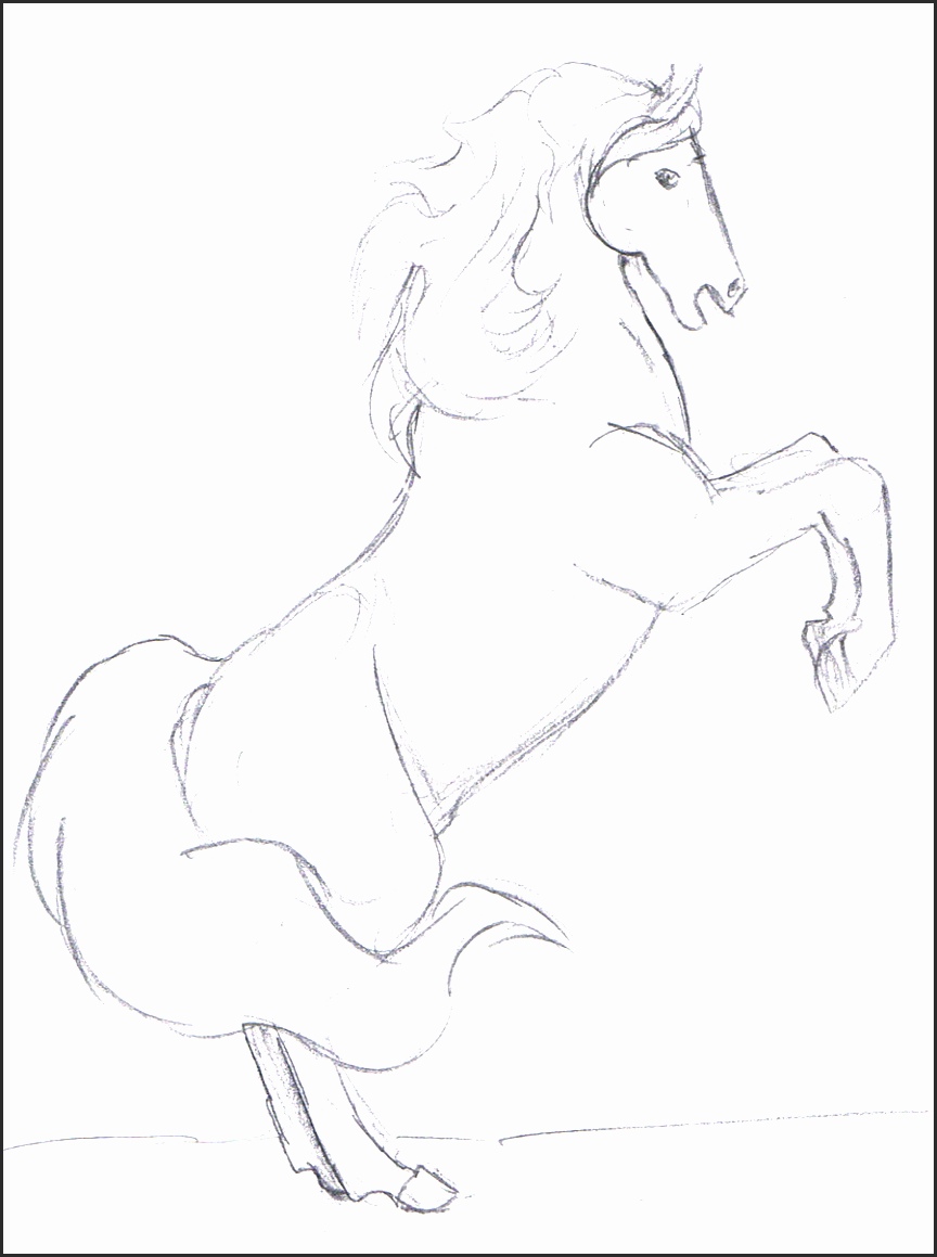 864x1159 Easy Drawing Of A Horse Rah8h New How To Draw A Horse Step By Step