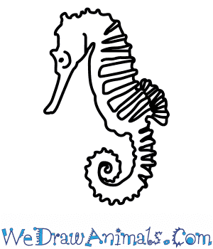 300x350 How To Draw A Seahorse
