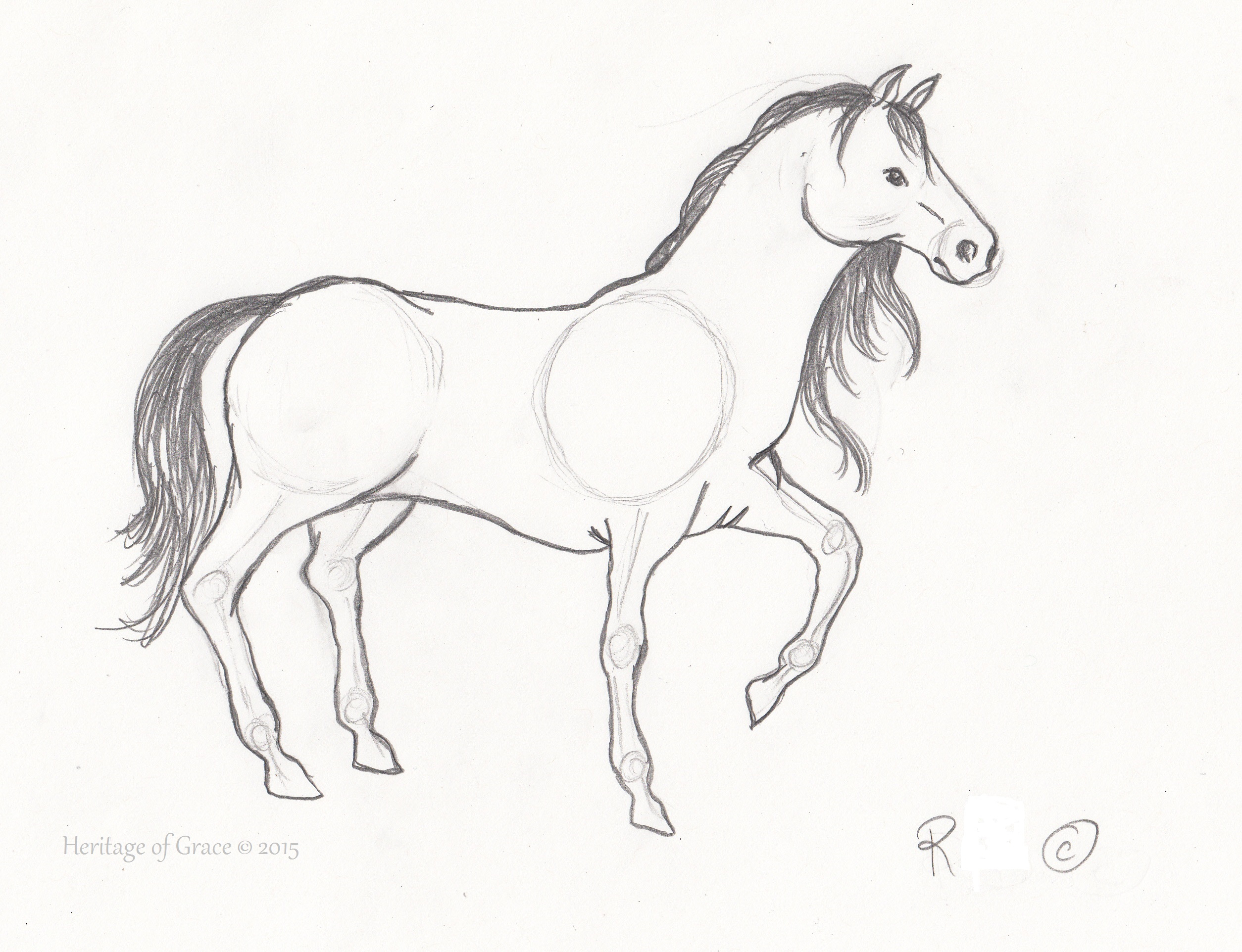 Easy Horses Drawings Horse Drawing Heads Head Outline Coloring Clipart ...