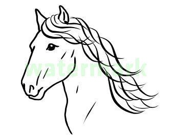 340x270 Head Of Horse Etsy