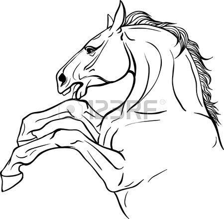 450x440 Horse Head For Coloring Book. Royalty Free Cliparts, Vectors,