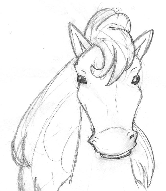 679x781 Horse Face By Sleeepyhollow