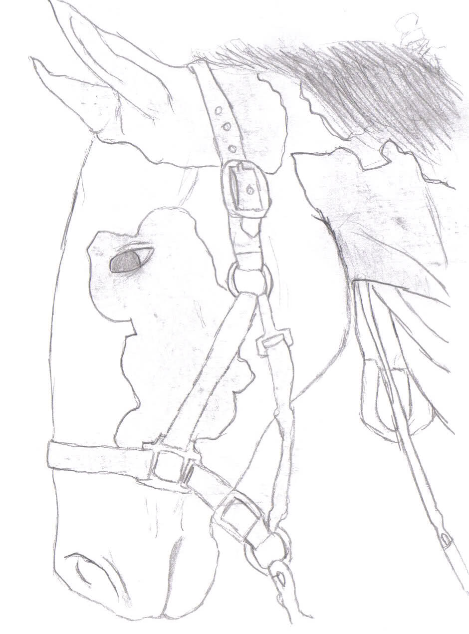 940x1270 My Drawings!!!