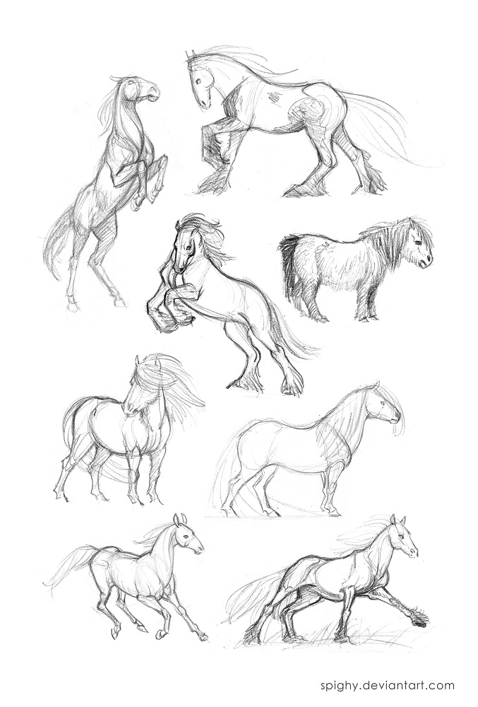 677x1000 Horse Quick Sketches Part2 By Spighy