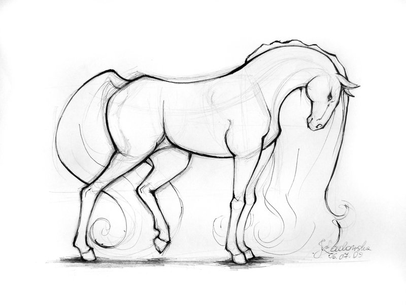 800x600 Horse By Ladowska