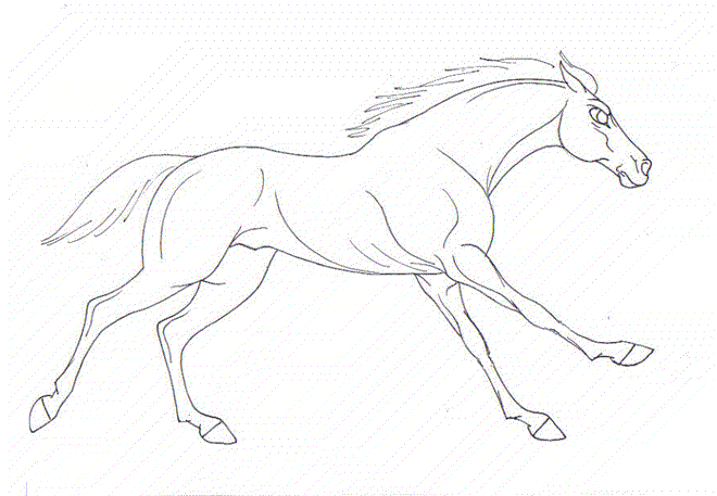 660x457 Galloping Horse Sketch