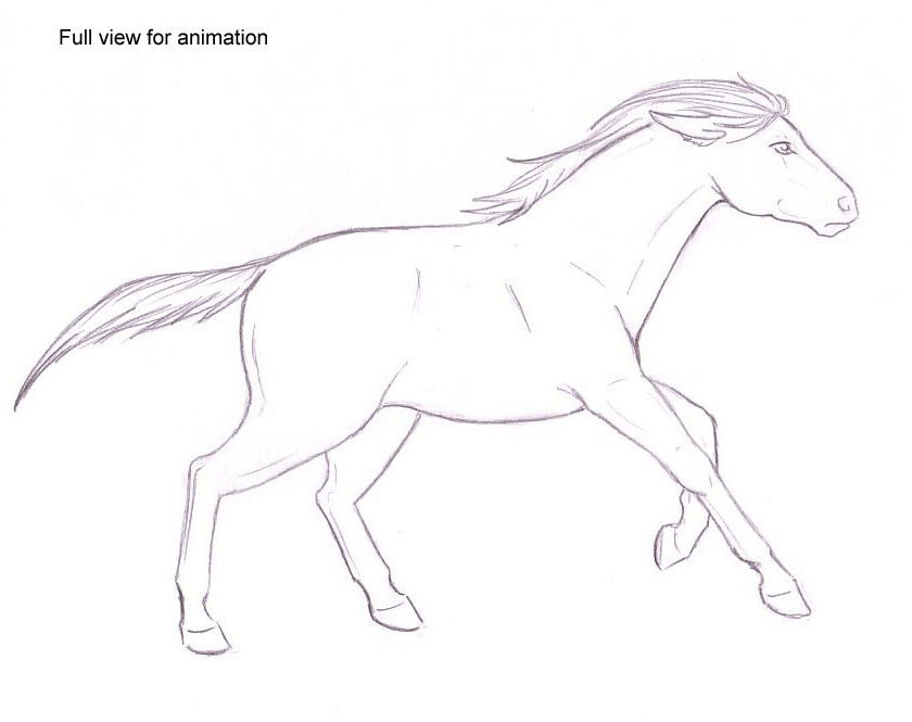 Horse Galloping Drawing at GetDrawings | Free download