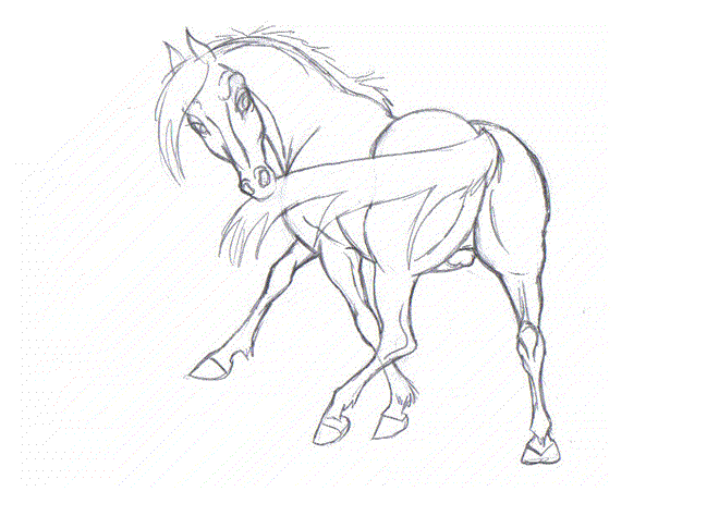 660x474 Animating A Horse Gallop Sorcha Animation