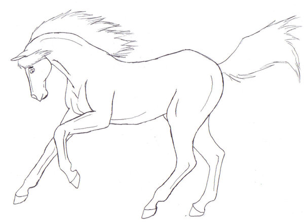 600x437 Galloping Horse Lineart By Angelkissedhorse