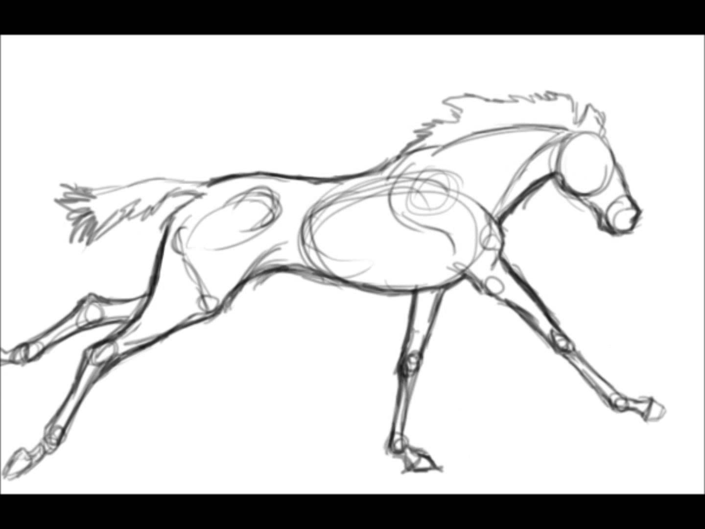 1440x1080 Animation Study