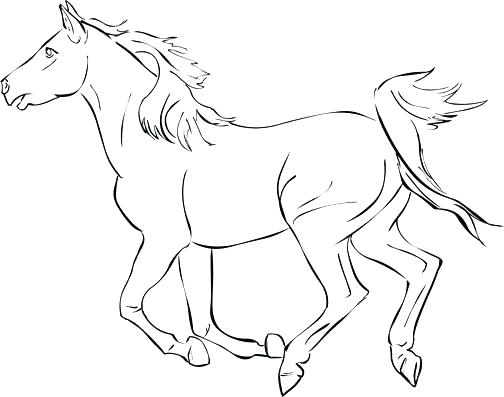 504x397 Horse Head Pictures To Color Coloring Page Horse Horse Head