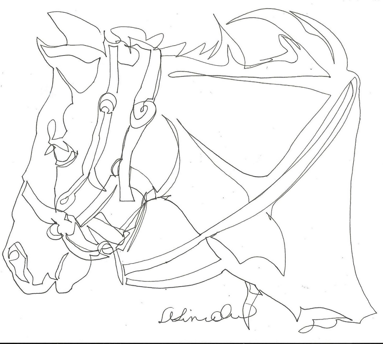 1600x1435 Now Or Never Horse Head 2