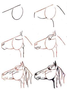 236x317 Designing Horse Pencil Drawings