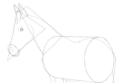 500x345 Horse Drawing Tutorial. A Three In One Free Lesson.
