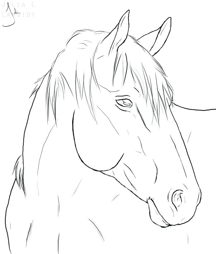 736x868 Simple Horse Coloring Pages Simple Frank Horse Coloring Pages